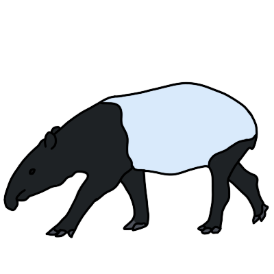 a Malayan tapir drawn without shading.